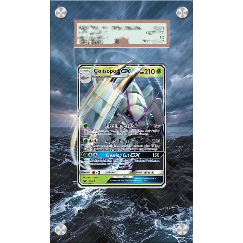 Art Display for Pokemon Goliso - Anime Merchandise From Japan recensie en prijs