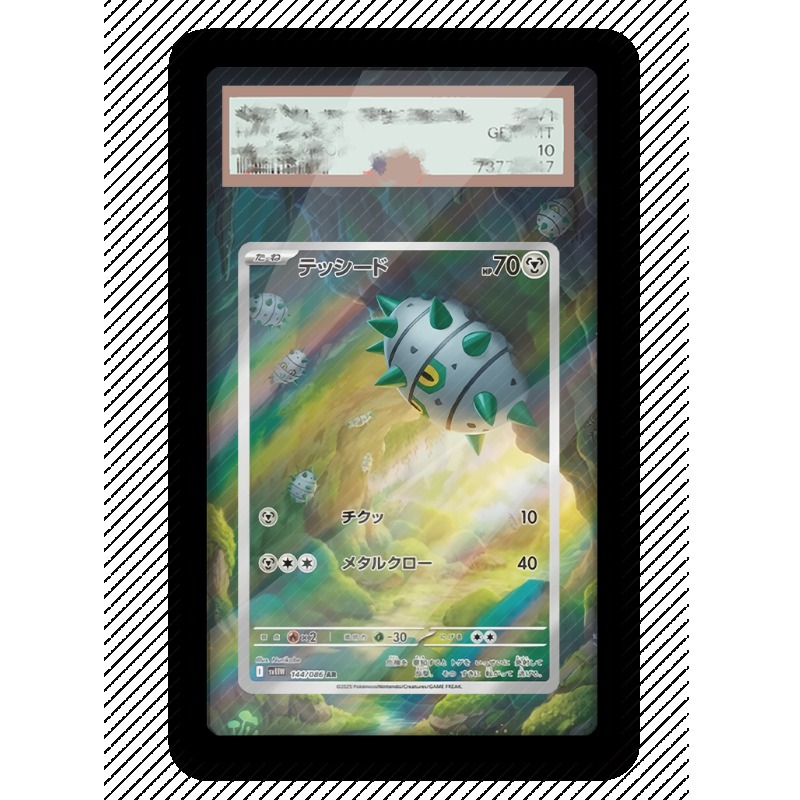 Art Display for Pokemon Ferros - Anime Merchandise From Japan recensie en prijs